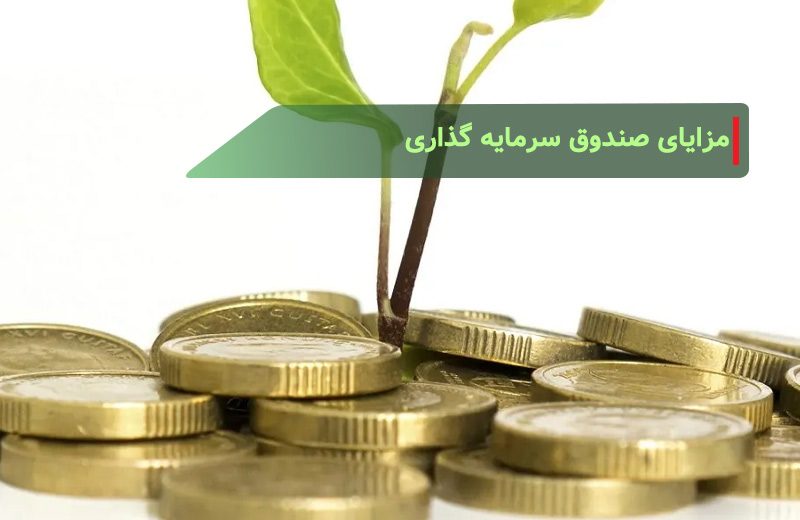 مزایای صندوق سرمایه گذاری برای افراد مبتدی