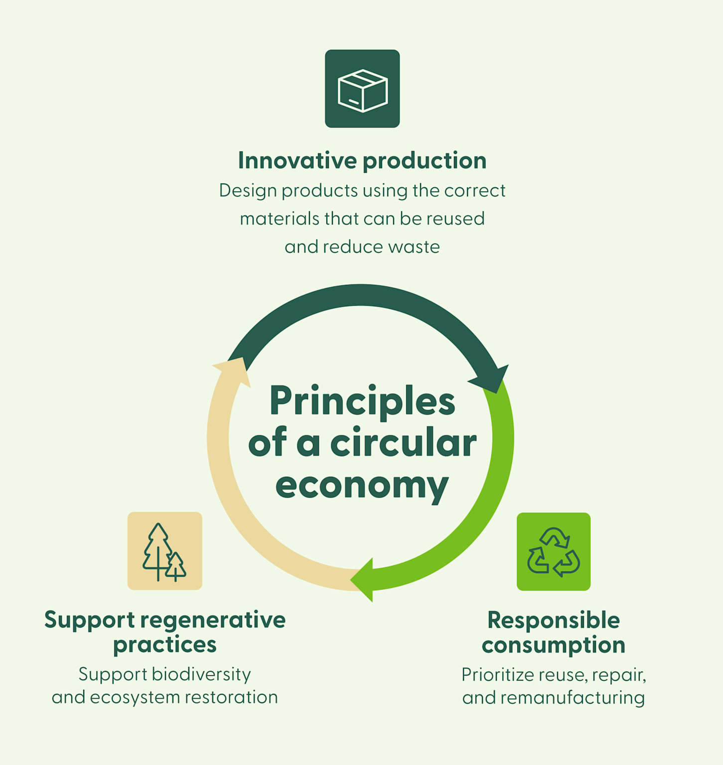 Key principles of a circular economy illustrating innovative production, regenerative support, and responsible consumption