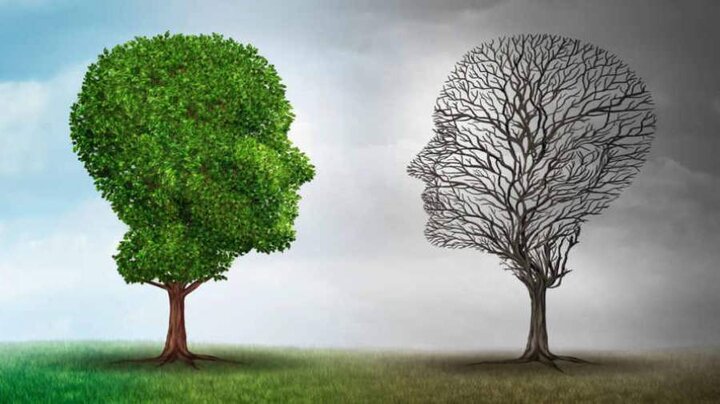 شبکه یکپارچه تیمهای تخصصی بازتوانی روانی اجتماعی بحران در پایتخت تشکیل میشود