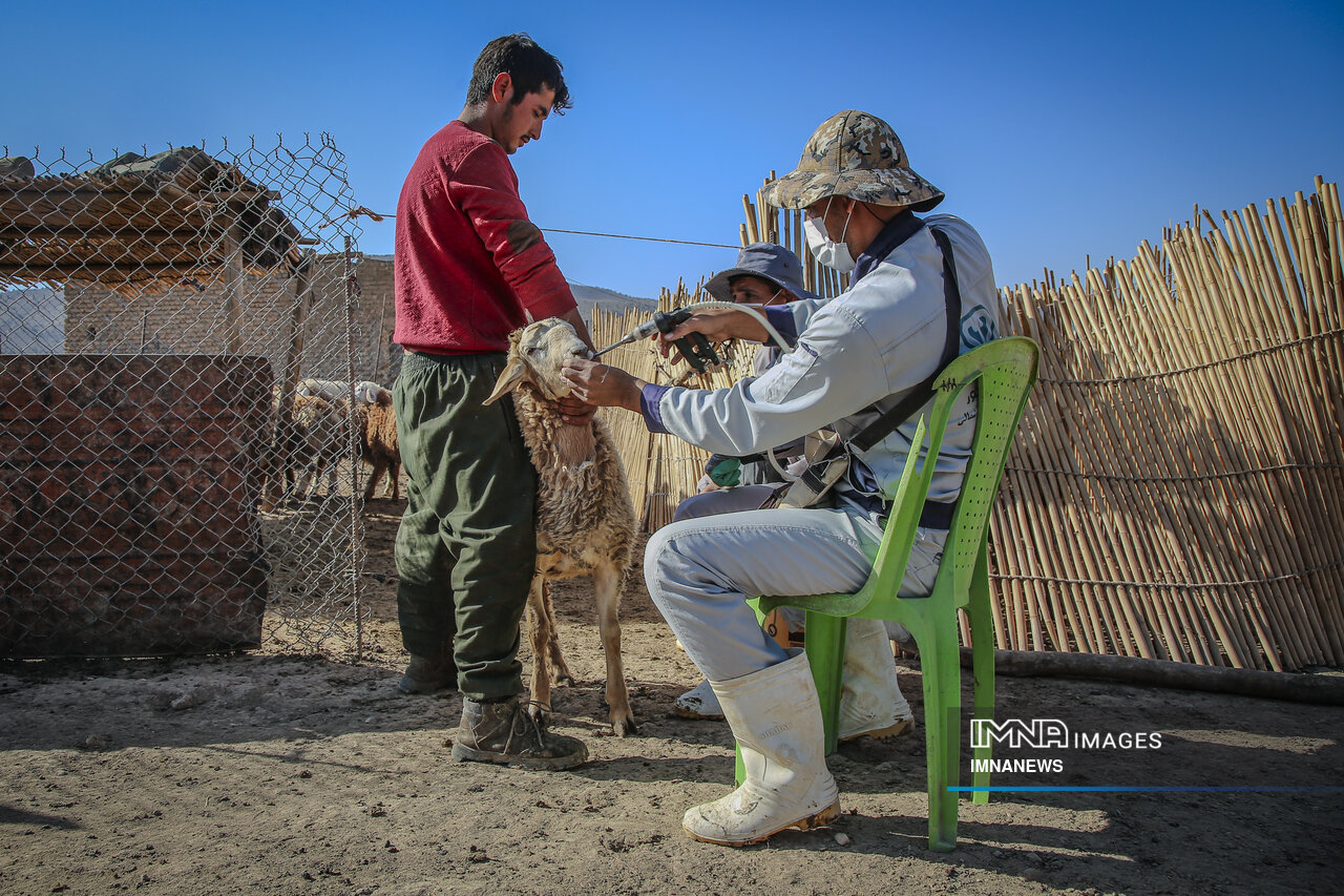 مرمت سالانه ۳هزار کیلومتر جاده عشایری اصفهان/سهم ۲۸ درصدی عشایر در تولید گوشت قرمز