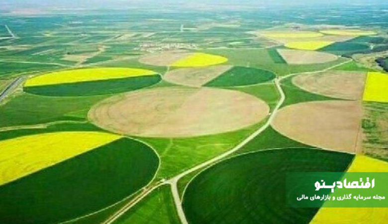 عرضه اولیه زهلال: جزئیات کامل زمان عرضه، نقدینگی مورد نیاز