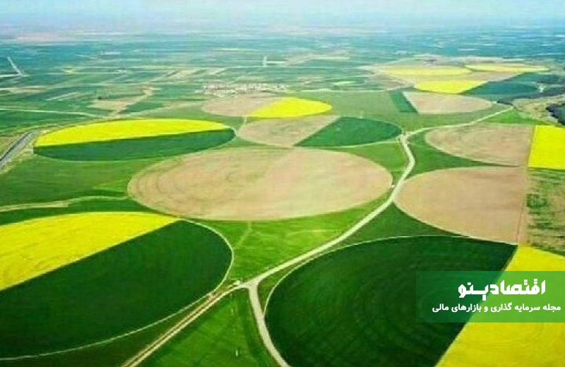 عرضه اولیه زهلال: جزئیات کامل زمان عرضه، نقدینگی مورد نیاز