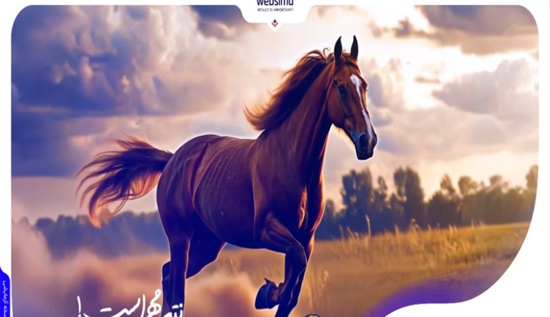 بهترین شرکت های طراحی سایت در ایران؛ راهنمای انتخاب بدون نیاز به دانش فنی