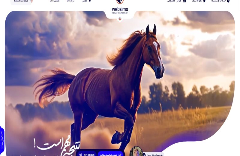 بهترین شرکت های طراحی سایت در ایران؛ راهنمای انتخاب بدون نیاز به دانش فنی